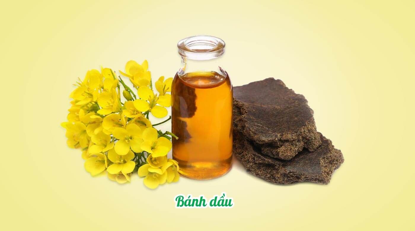 Sản phẩm kh&aacute;c 2